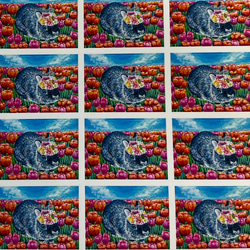 うさぎのレターセット　封筒3枚　便箋6枚　シール付き　お好きなポストカード１枚付き 7枚目の画像