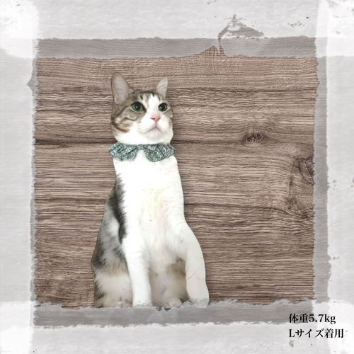 再販〉 猫 犬 首輪 フリルスタイ リバティプリント × Katie and Millie
