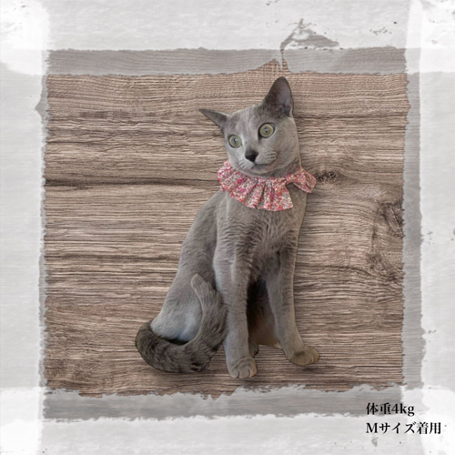 再販〉 猫 犬 首輪 フリルスタイ リバティプリント × Katie and Millie