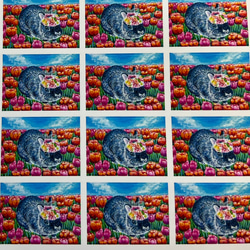 うさぎのレターセット　封筒3枚　便箋6枚　シール付き　お好きなポストカード１枚付き 6枚目の画像