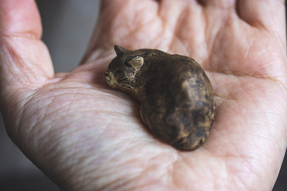 丸まる猫【猫_555】 8枚目の画像