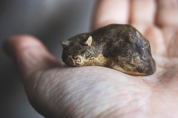 丸まる猫【猫_555】 9枚目の画像