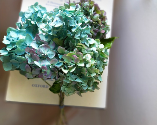 秋色紫陽花ドライフラワー小さめ6本セット ドライフラワー