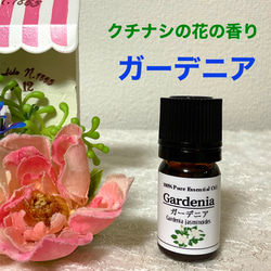 大容量 ティーツリー 100ml 高品質セラピーグレード
