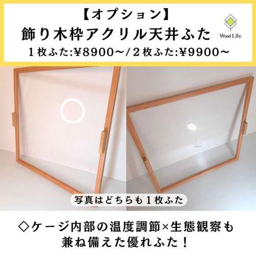 強固な爬虫類「標準ケージ」120×45×45cm◇送料無料 #爬虫類 強固な爬虫類「標準ケージ」120×45×45cm◇送料無料 #爬虫類