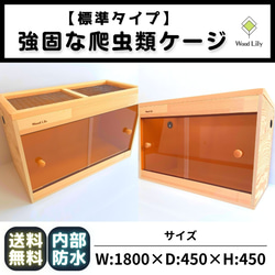 爬虫類「規格サイズケージ」60×30×H30◇送料無料◇床板色選べる 爬虫類「規格サイズケージ」60×30×H30◇送料無料◇床板色選べる