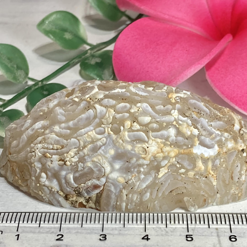 タンジェリン✿*:・虹入り　レース瑪瑙　アゲート ジオード　晶洞 タンジェリン✿*:・虹入り レース瑪瑙 アゲート ジオード 晶洞