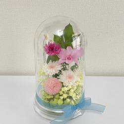 プリザーブドフラワー仏花　セロンドーム　シャーベットピンクカラー 2枚目の画像