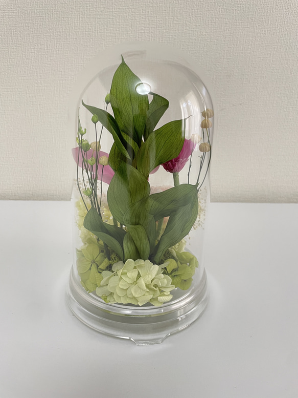 プリザーブドフラワー仏花　セロンドーム　シャーベットピンクカラー 5枚目の画像