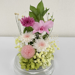 プリザーブドフラワー仏花　セロンドーム　シャーベットピンクカラー 3枚目の画像