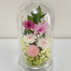 プリザーブドフラワー仏花　セロンドーム　シャーベットピンクカラー 1枚目の画像