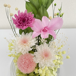 プリザーブドフラワー仏花　セロンドーム　シャーベットピンクカラー 4枚目の画像