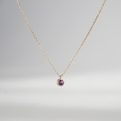 Amethyst birthstone necklace [P033K18/K10AM] 2枚目の画像