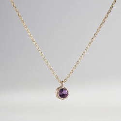 Amethyst birthstone necklace [P033K18/K10AM] 1枚目の画像