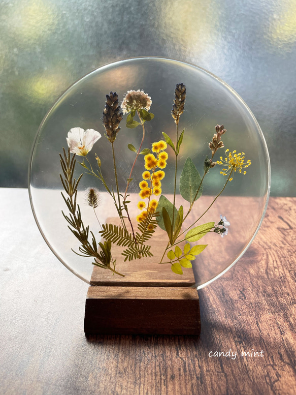 ミモザ＆ハーブ】 押し花レジンアート その他インテリア雑貨 Candymint