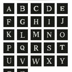 全機種対応【レザー×カード入れ ミラー ロングストラップ付き×イニシャル】スマホショルダー 大人かわいい くすみ 289 17枚目の画像