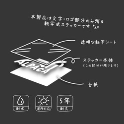 名前入れ☆かわうそ【練習ステッカー付】ネームステッカー　ペット　動物 6枚目の画像