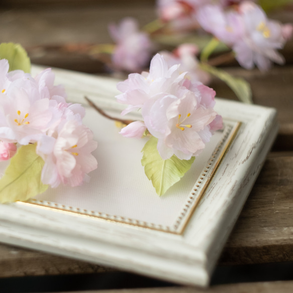 ちいさな 春 の 八重桜 布花 コサージュ 2枚目の画像