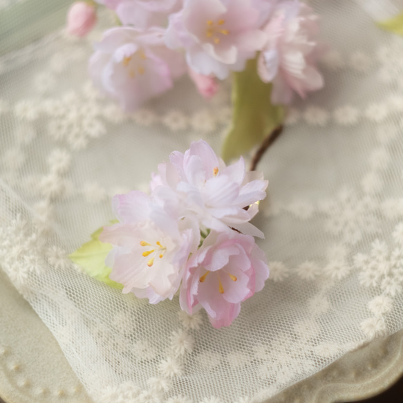 ちいさな 春 の 八重桜 布花 コサージュ 1枚目の画像
