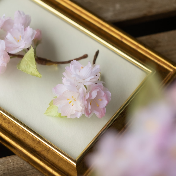 ちいさな 春 の 八重桜 布花 コサージュ 3枚目の画像