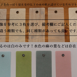 かにオーダーページ サイレントホイール25専用木製スタンド かに様専用オーダーページ サイレントホイール25専用木製