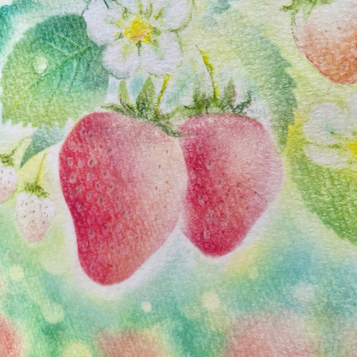 いちごちゃん(パステル画・原画) 絵画 PRISM Arch 通販 いちごちゃん(パステル画・原画) 絵画 PRISM Arch 通販
