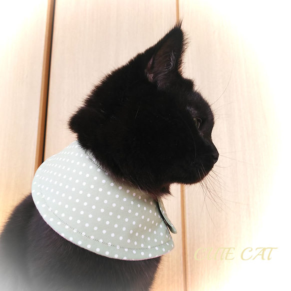姫の襟巻き【完成品】猫用首回り防護スタイ　エリザベスカラー 12枚目の画像