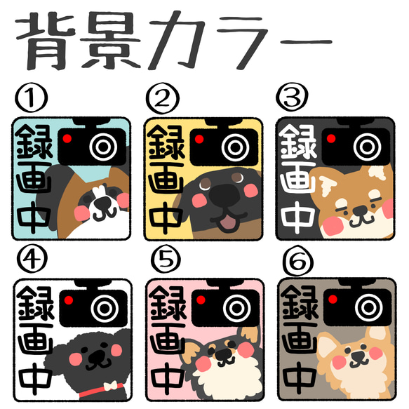 ゆるわんこのドラレコステッカー 3枚目の画像