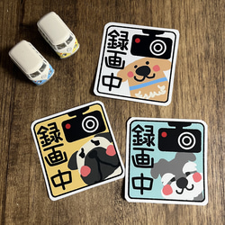 ゆるわんこのドラレコステッカー 1枚目の画像