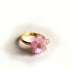 色が変わる！八重桜の指輪 1枚目の画像