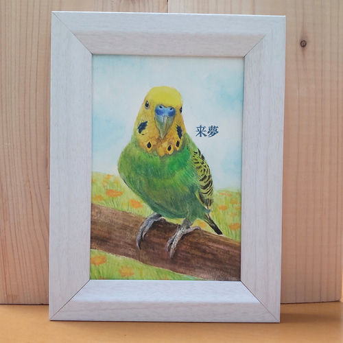 インコの水彩肖像画【手描き原画】（簡易額付/オーダー） 絵画