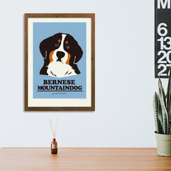 藝術海報伯恩山犬【A4尺寸】 第4張的照片