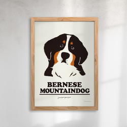 藝術海報伯恩山犬【A4尺寸】 第1張的照片