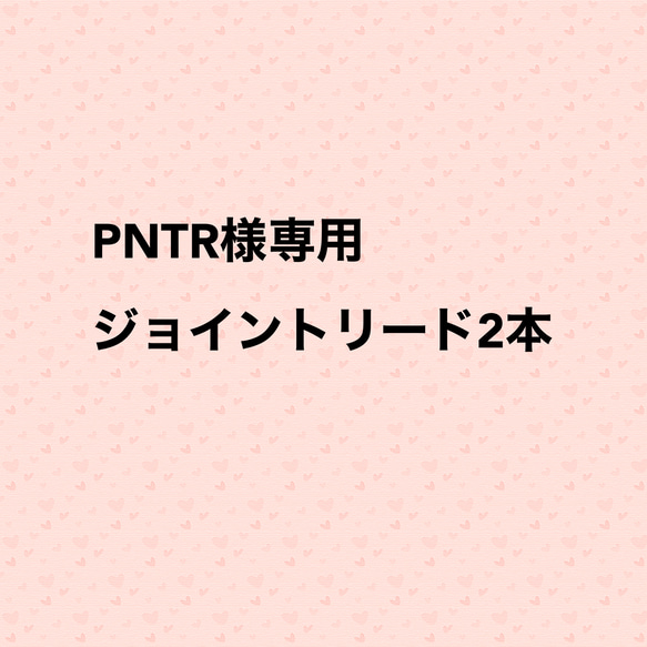 [PNTR様専用]4つ編み　ジョイントリード2本(22センチ) 1枚目の画像