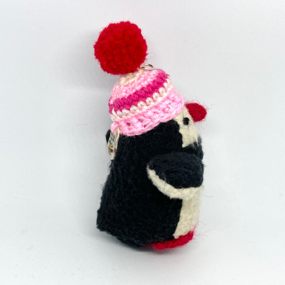 赤いクチバシ・ポンポンニット帽の小さなペンギン 6枚目の画像