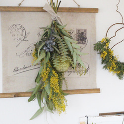 ドライフラワー ❇️グレビレアアイバンホー❣️ ドライフラワー］グレビレア アイバンホー商品ページ - 土と風の植物園