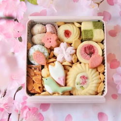 桜クッキー缶【お届けは約3週間後】 1枚目の画像