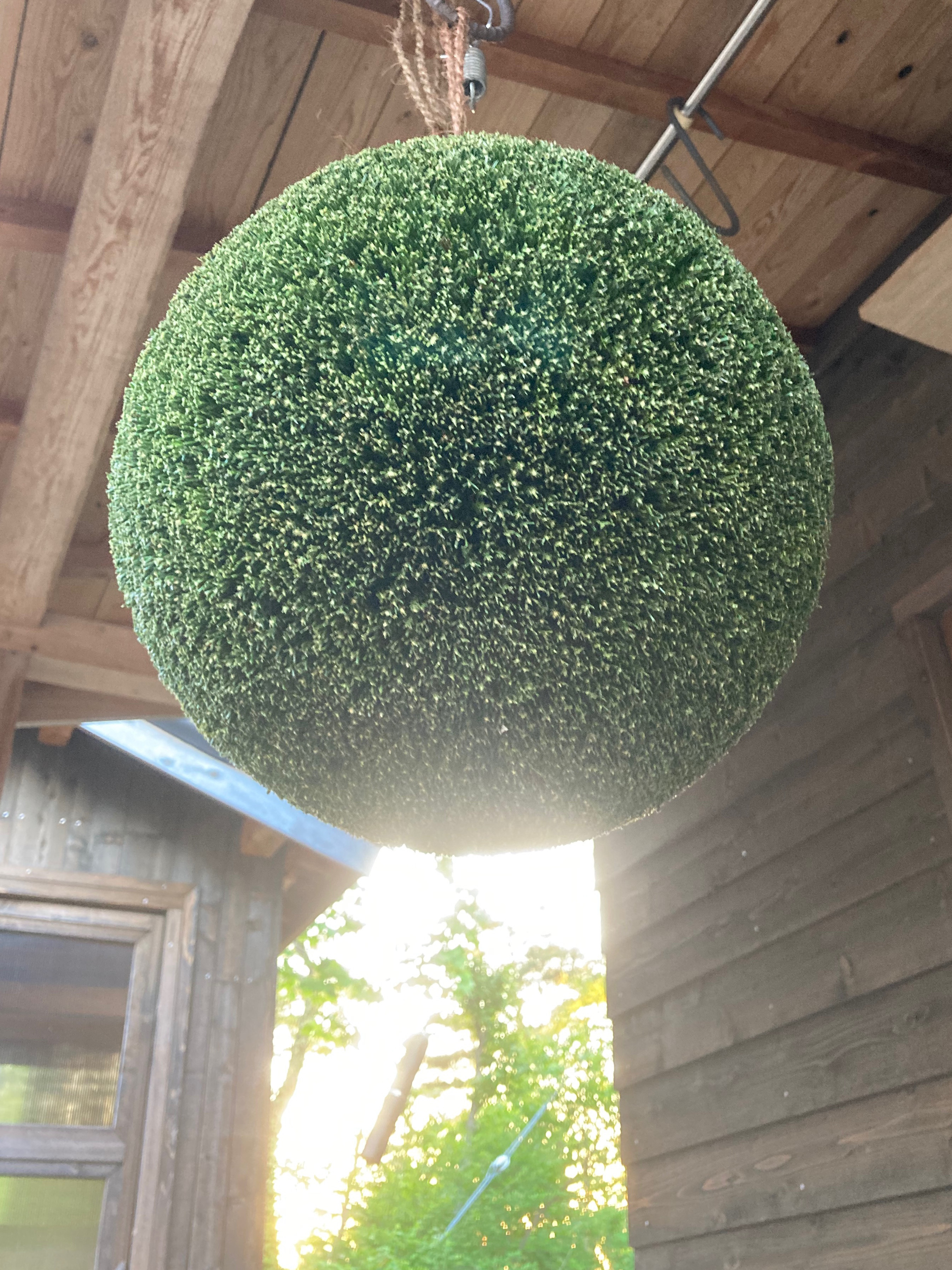 目立つ 杉玉(酒林)