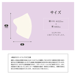 【3枚入り】 息快適 立体小顔マスク用ウレタンインナーマスク　吸水速乾・帯電防止・制菌・日本製　MA-61 4枚目の画像