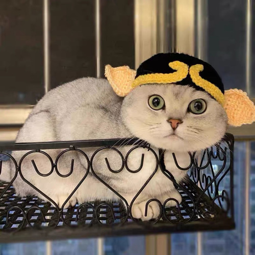 豚の耳 猫&犬 毛糸の帽子☆ペットのヘッドギア☆猫の頭セット 犬