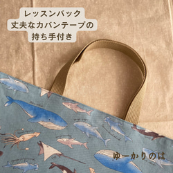 【受注生産】入園入学3点セット⭐︎海の仲間⭐︎⭐︎レッスンバッグ⭐︎体操服袋⭐︎シューズバッグ 3枚目の画像
