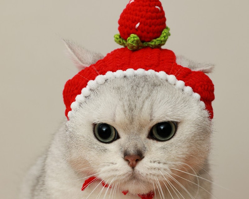 c4601c7fd73c570ccc75f454b14e7e