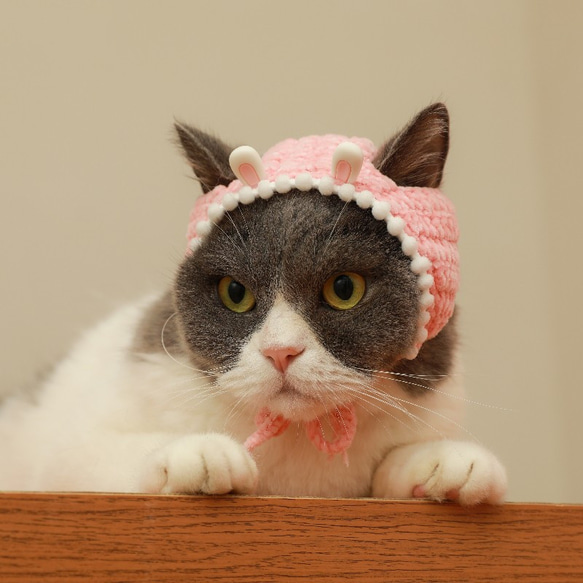 うさぎ/ウサギ 干支犬&猫の帽子☆毛糸の帽子☆犬の頭飾り☆テディ装飾☆ウサギ耳帽☆おかしい変装帽☆人形の帽子 1枚目の画像