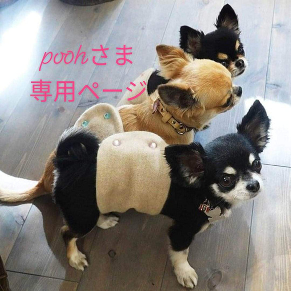 poohさま専用ページ 1枚目の画像