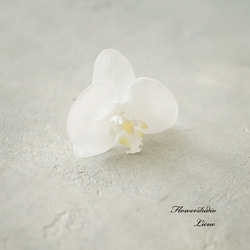 早割中！【しめ縄】紅白の椿と胡蝶蘭のお正月飾り しめ縄 しめ縄