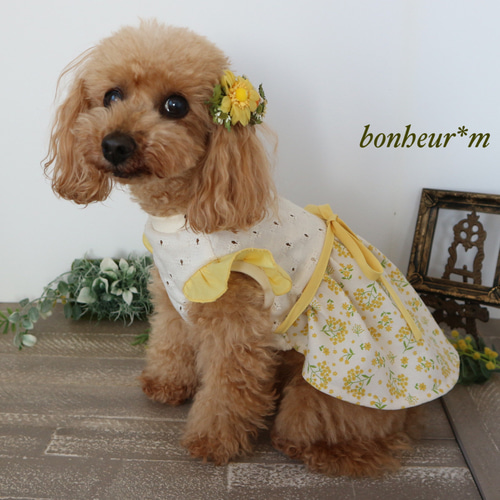 再再販)犬服〜ミモザワンピース〜フラワー レース 春夏秋