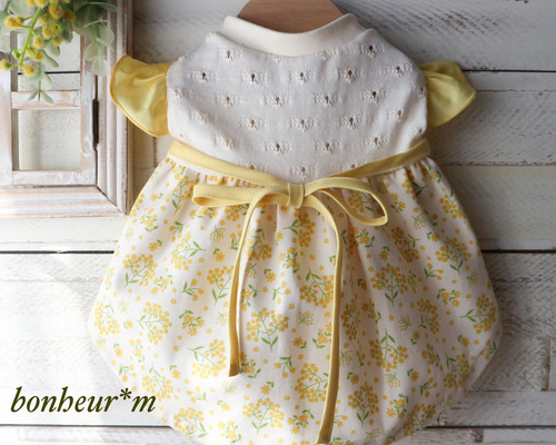 2c2293acd106b04c0105ae8b481ce4