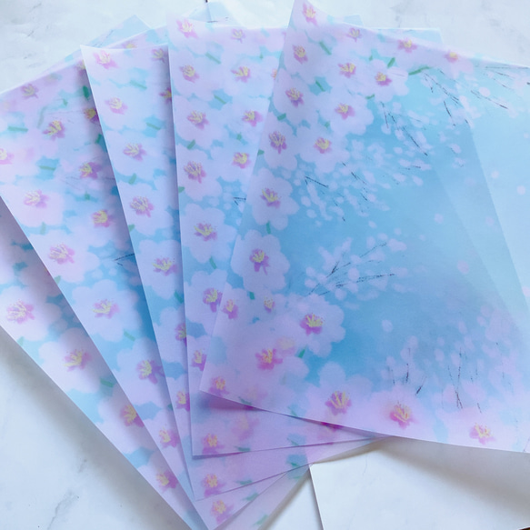 青空と桜　トレーシングペーパー　5枚セット　かわいい　おしゃれ　透明　デザインペーパー　自然　春　 3枚目の画像