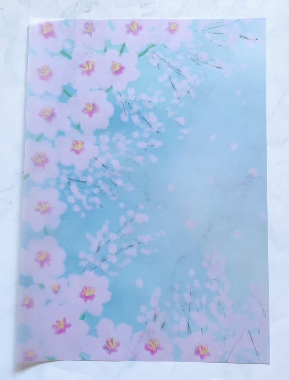 青空と桜　トレーシングペーパー　5枚セット　かわいい　おしゃれ　透明　デザインペーパー　自然　春　 4枚目の画像