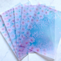 青空と桜　トレーシングペーパー　5枚セット　かわいい　おしゃれ　透明　デザインペーパー　自然　春　 2枚目の画像